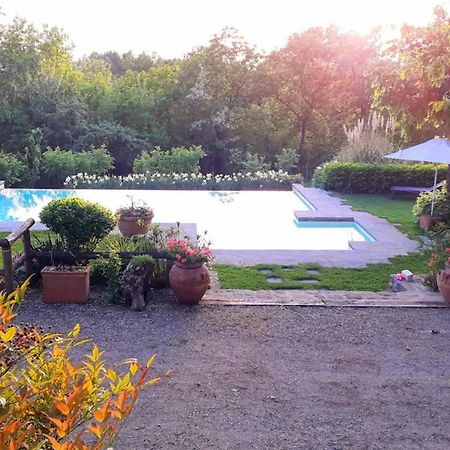 Tuscan Hills Near Florence - Stone House ヴィッキオ エクステリア 写真