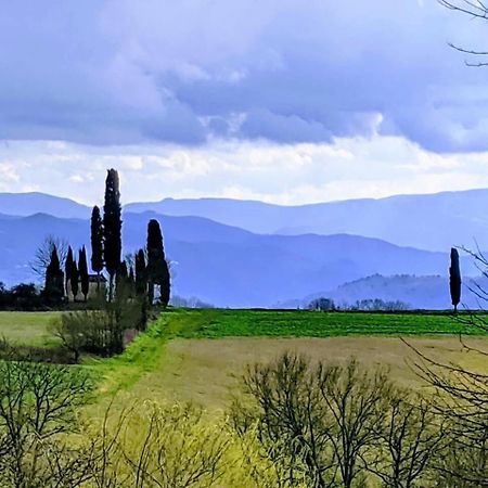 Tuscan Hills Near Florence - Stone House ヴィッキオ エクステリア 写真