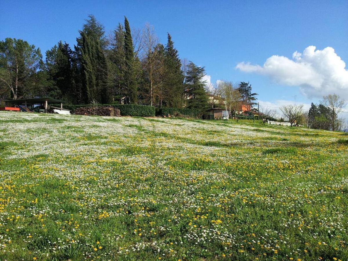 Tuscan Hills Near Florence - Stone House ヴィッキオ エクステリア 写真
