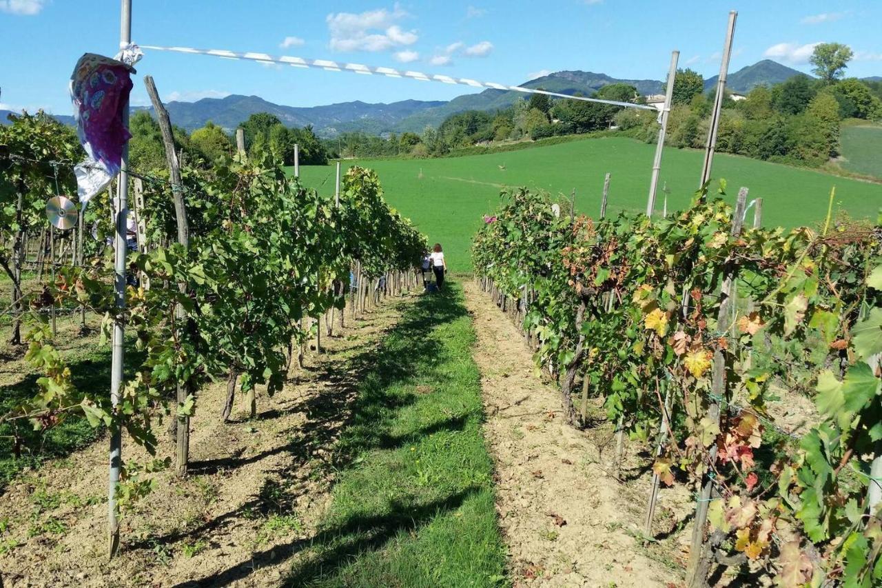 Tuscan Hills Near Florence - Stone House ヴィッキオ エクステリア 写真