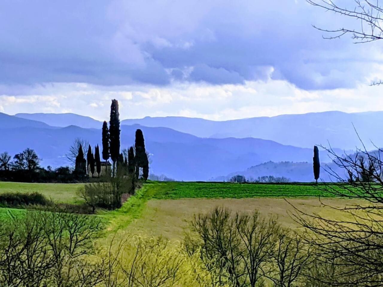 Tuscan Hills Near Florence - Stone House ヴィッキオ エクステリア 写真